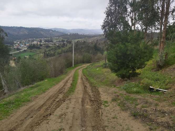 Vendo parcela de 5.000 mtrs2 con casa en Lo Abarca - Imagen 20