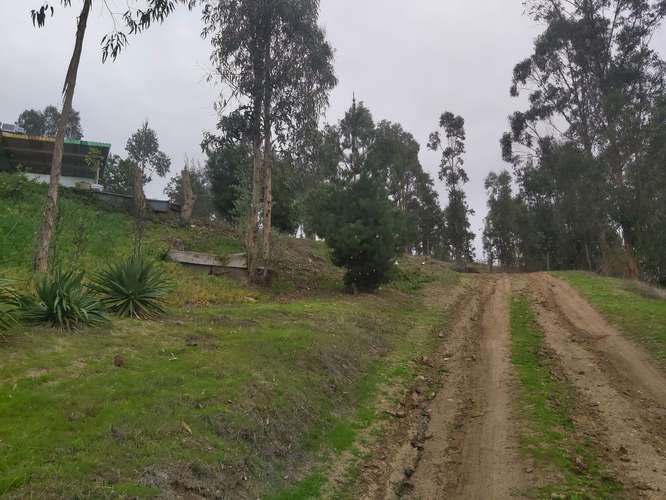 Vendo parcela de 5.000 mtrs2 con casa en Lo Abarca - Imagen 4