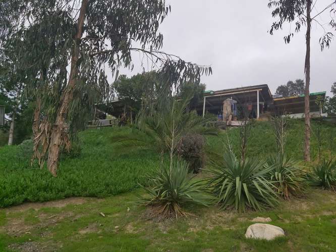 Vendo parcela de 5.000 mtrs2 con casa en Lo Abarca - Imagen 23