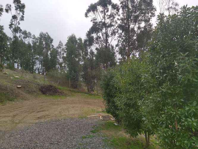 Vendo parcela de 5.000 mtrs2 con casa en Lo Abarca - Imagen 15