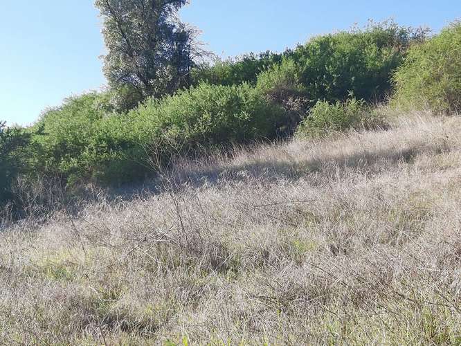 Parcela en Litueche, parcelación Piraino