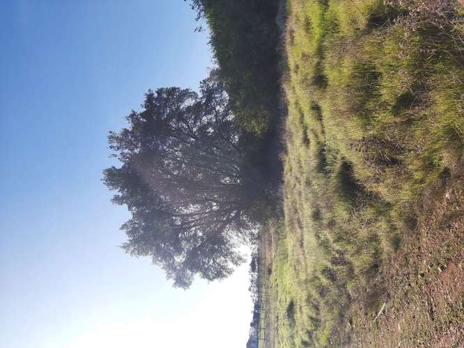Parcela en Litueche, parcelación Piraino