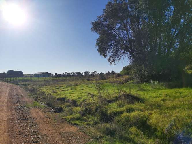 Parcela en Litueche, parcelación Piraino