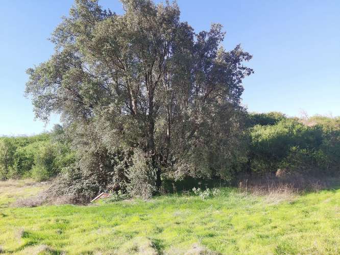 Parcela en Litueche, parcelación Piraino