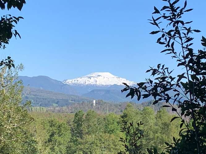 PRECIOSA PARCELA EN CARHUELLO CON ACCESO A RIO LICURA