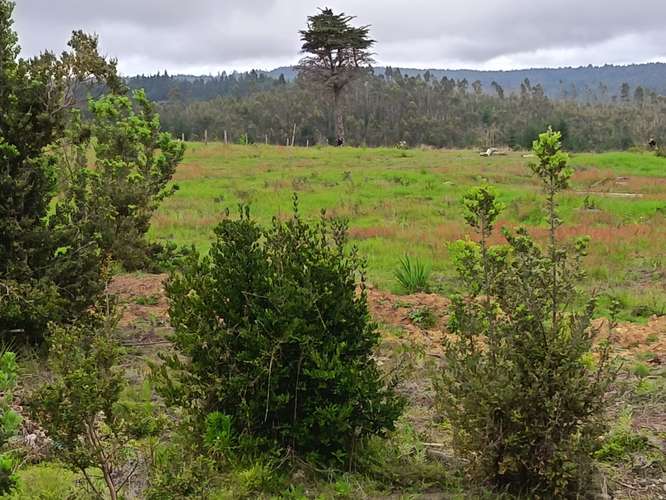 LA POLCURA – PUERTECILLO | 5.000 M² CERRADOS, CON AGUA Y LUZ | $80 MILLONES
