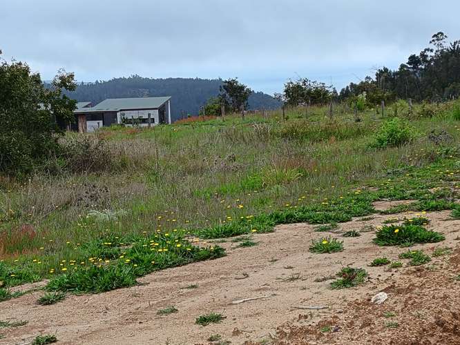 LA POLCURA – PUERTECILLO | 5.000 M² CERRADOS, CON AGUA Y LUZ | $80 MILLONES