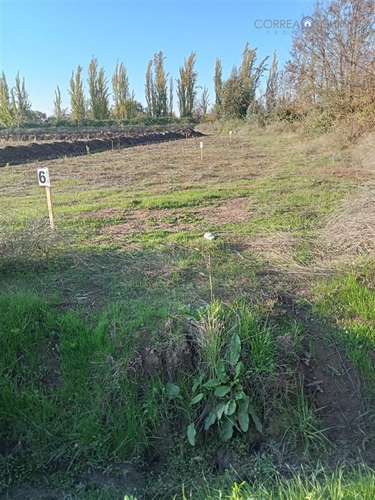 Terreno en Venta en Teno - Imagen 7