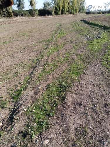 Terreno en Venta en Teno - Imagen 18