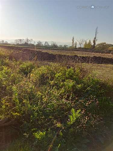 Terreno en Venta en Teno - Imagen 6