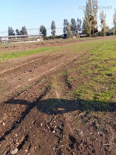 Terreno en Venta en Teno - Imagen 15