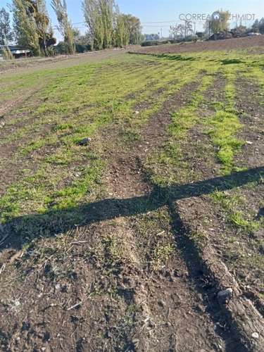 Terreno en Venta en Teno - Imagen 16