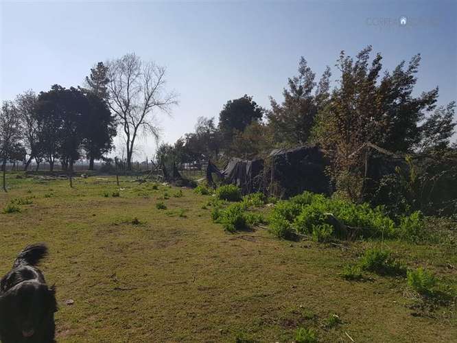 Terreno en Venta San Joaquín de los Mayos en Machalí