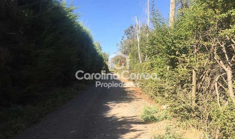 Terreno Construccion en Venta en Machalí