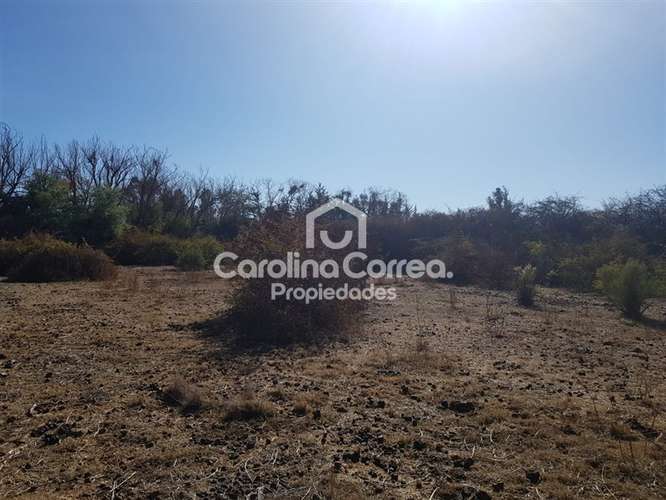 Terreno Construccion en Venta en Machalí