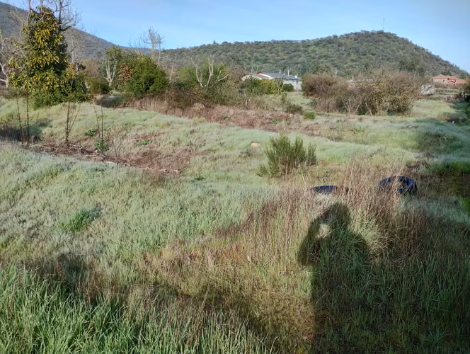 Venta Parcela 5.000M2 con rol - Imagen 4
