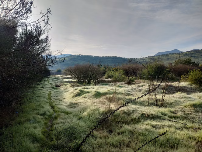 Venta Parcela 5.000M2 con rol - Imagen 3