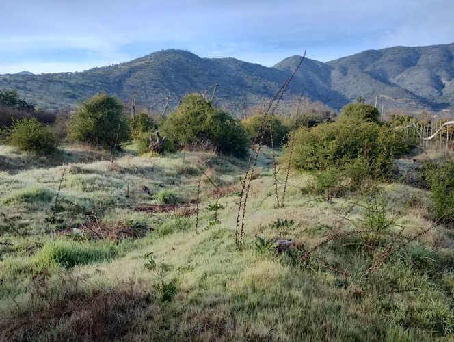 Venta Parcela 5.000M2 con rol - Imagen 2