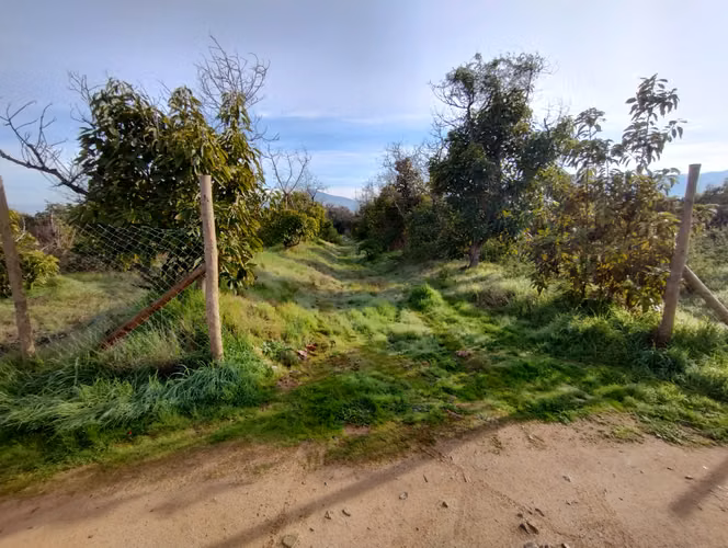 Venta Parcela 5.000M2 con rol - Imagen 10