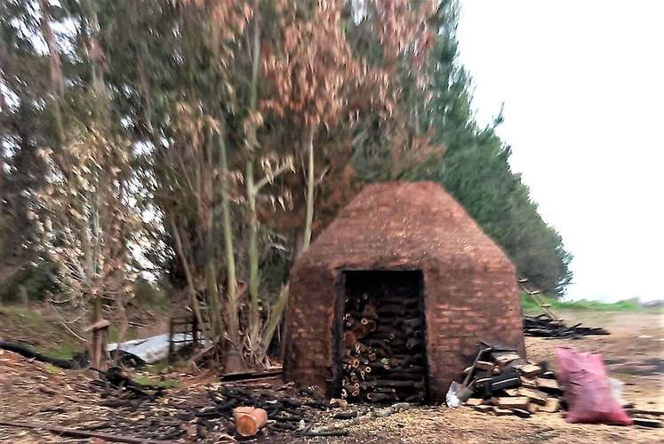 En arriendo, Fundo El Macetero 198,9 Há, Cauquenes. 199 UF.
