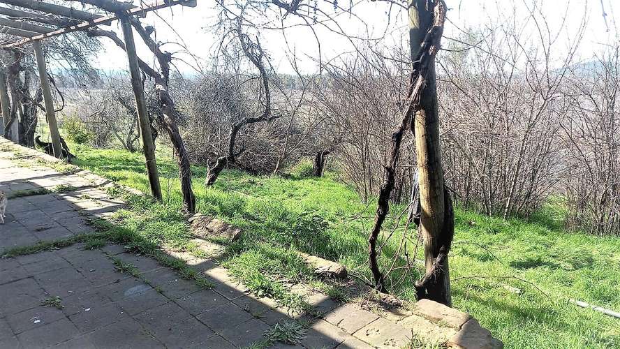 En arriendo, Fundo El Macetero 198,9 Há, Cauquenes. 199 UF.