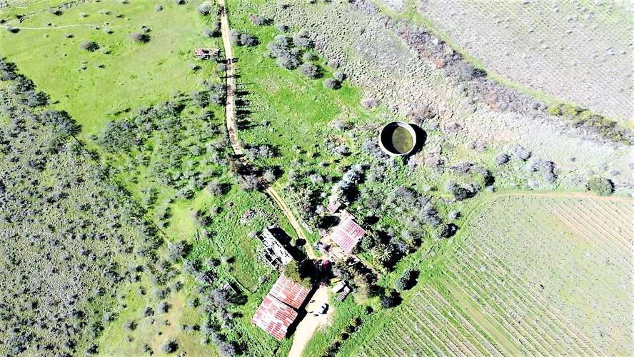En arriendo, Fundo El Macetero 198,9 Há, Cauquenes. 199 UF.