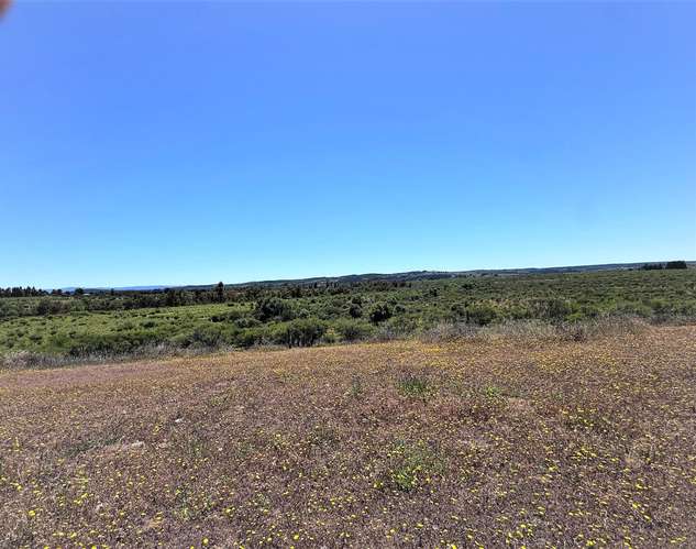 En arriendo, Fundo El Macetero 198,9 Há, Cauquenes. 199 UF.