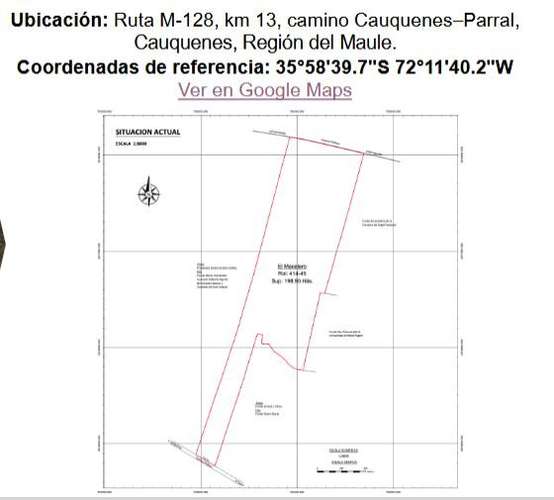 En arriendo, Fundo El Macetero 198,9 Há, Cauquenes. 199 UF.