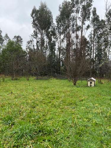 ARRIENDO CABAÑA EN PAILLAO VALDIVIA - Imagen 2