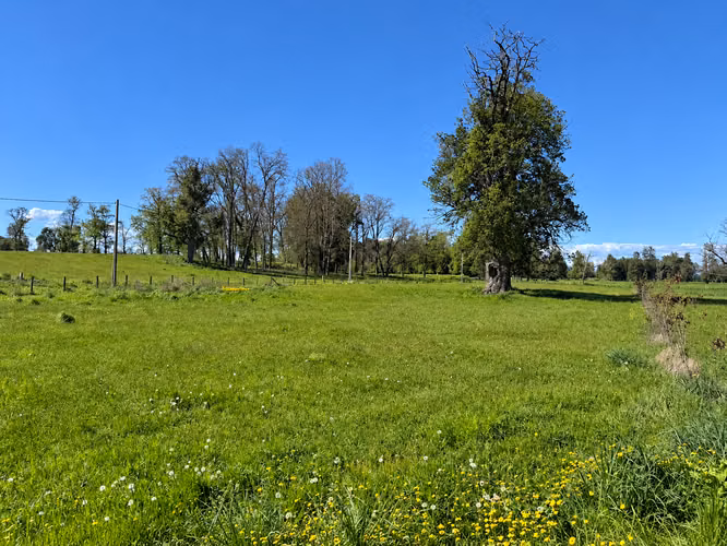 Alto Champel. Parcela con acceso al río. Con luz y agua. Lote 52