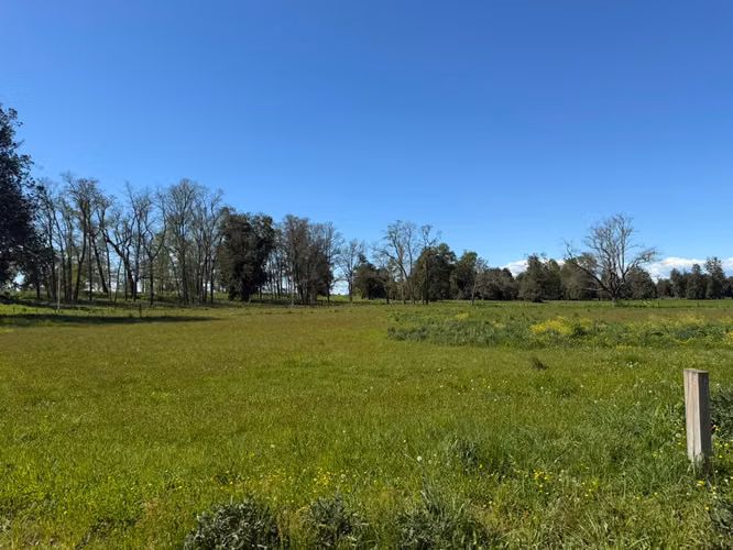 Alto Champel. Parcela con acceso al río. Con luz y agua. Lote 51