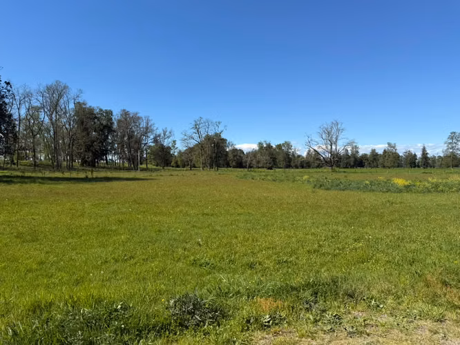 Alto Champel. Parcela con acceso al río. Con luz y agua. Lote 51