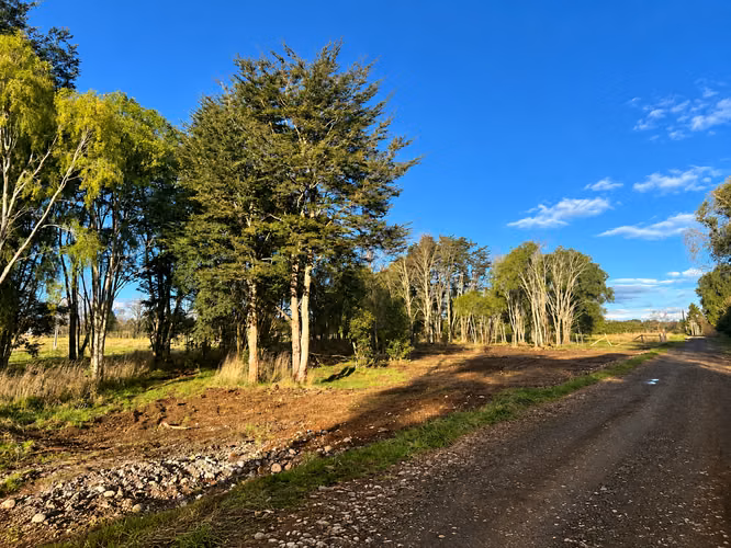 Alto Champel. Parcela con luz y agua instalada. Acceso al Río Bueno. Lote 1.