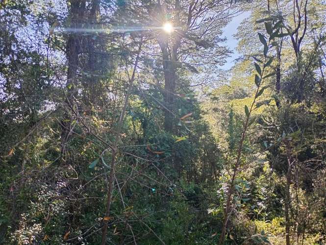 SE VENDE ESPECTACULAR PARCELA DE 32 HECTÁREAS EN T