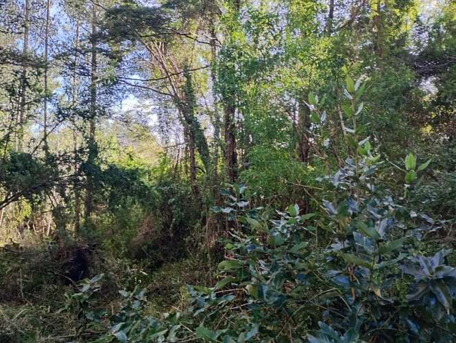 SE VENDE ESPECTACULAR PARCELA DE 32 HECTÁREAS EN T