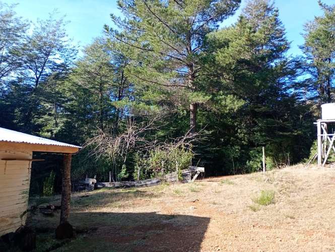 SE VENDE ESPECTACULAR PARCELA DE 32 HECTÁREAS EN T