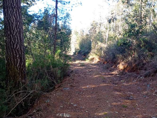 SE VENDE ESPECTACULAR PARCELA DE 32 HECTÁREAS EN T