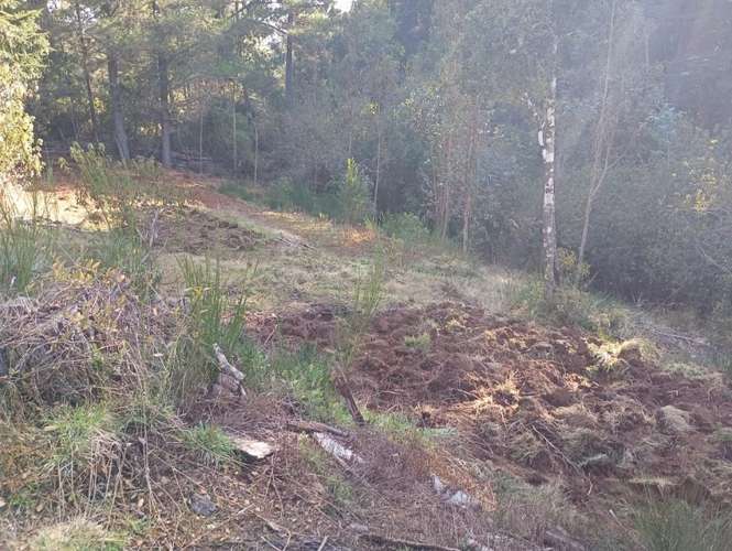 SE VENDE ESPECTACULAR PARCELA DE 32 HECTÁREAS EN T