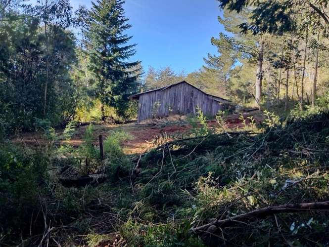 SE VENDE ESPECTACULAR PARCELA DE 32 HECTÁREAS EN T