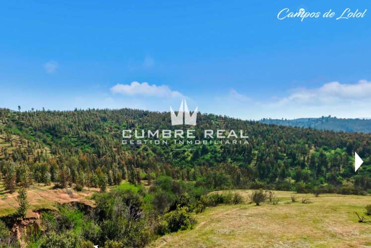 Venta de Parcela en Lolol, Valle Colchagua (186768)