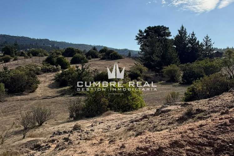 Venta de Parcela en Lolol, Valle Colchagua (186768)