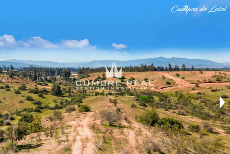 Venta de Parcela en Lolol, Valle Colchagua (186768)
