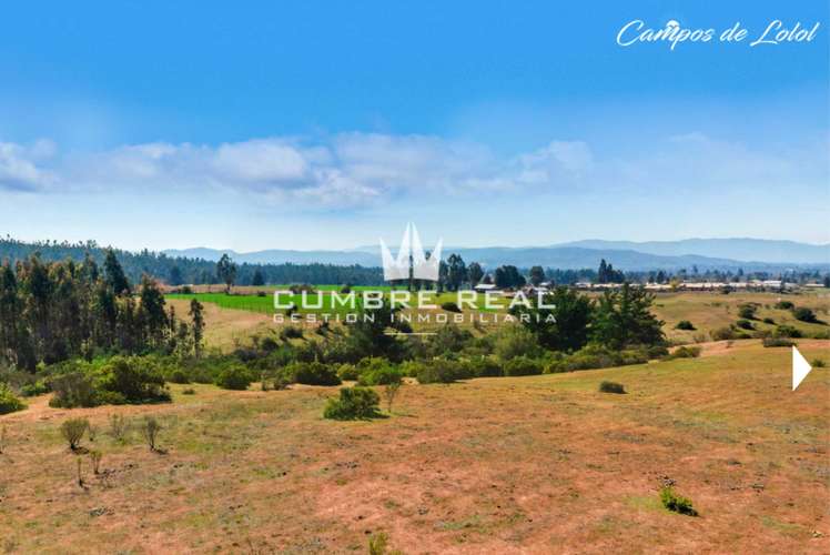 Venta de Parcela en Lolol, Valle Colchagua (186768)