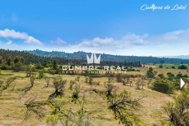 Venta de Parcela en Lolol, Valle Colchagua (186768)