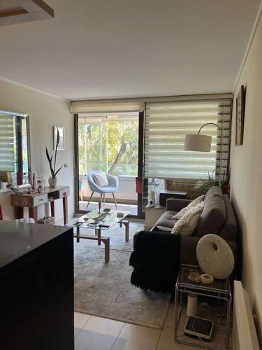 Arriendo Depto Amoblado 1D 1B  (92120) - Imagen 2
