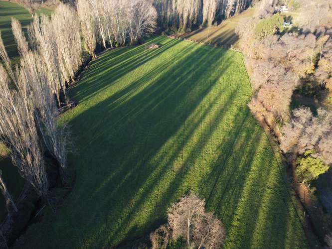 Terreno 3,5 Hectáreas Con Casa En Pinto, Ñuble