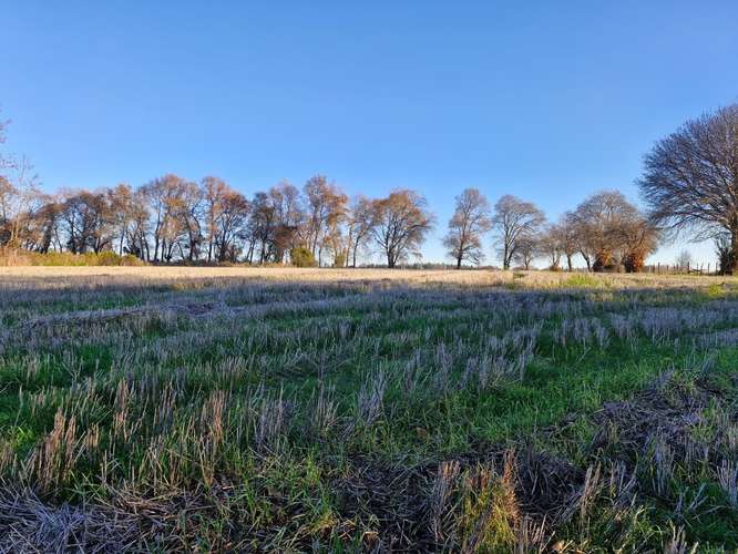 Terreno 3,5 Hectáreas Con Casa En Pinto, Ñuble
