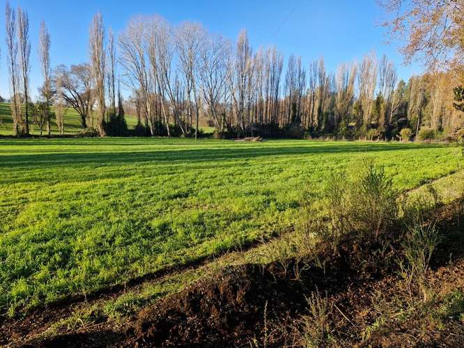 Terreno 3,5 Hectáreas Con Casa En Pinto, Ñuble