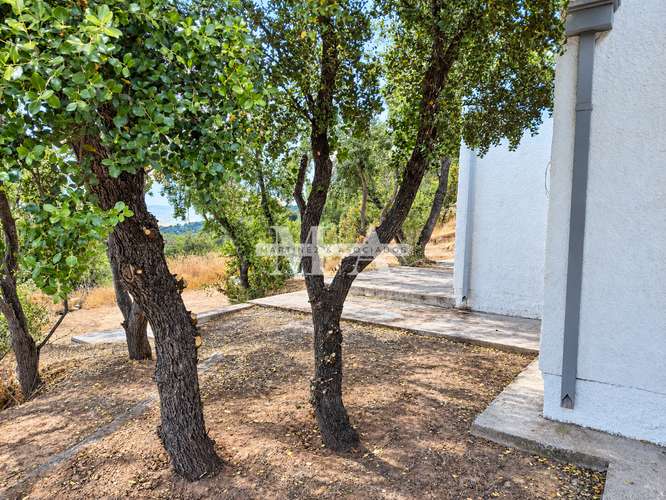 Venta Parcela 3D/2B + 13.081 m² | El Belloto, Paine - Imagen 4