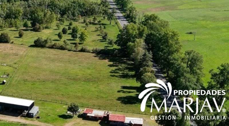 Parcelas de agrado 5.000 m2 a 15 minutos de Villarrica